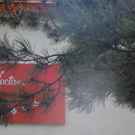 Nectar Hotel Dilijan Exterior foto