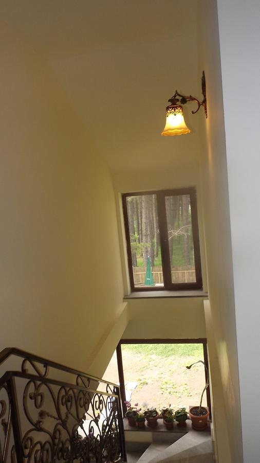 Nectar Hotel Dilijan Exterior foto